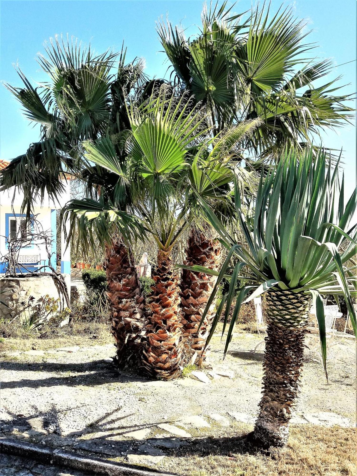 הוילה Serra de Mangues Agua Rocha חדר תמונה